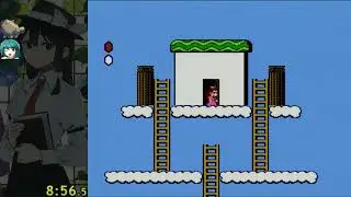 Super Mario Bros. 2 Princess Only in 11:36