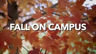 Fall On Campus!