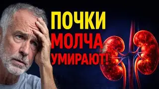 «7 опасных признаков заболеваний почек после 60 лет (которые большинство людей игнорируют)»