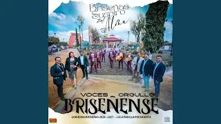 Briseñas Suspiro Del Alma