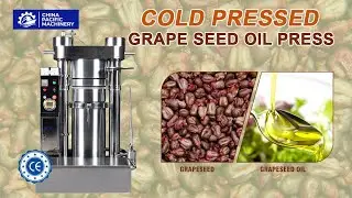 Grape Seed Oil Hydraulic Oil Press Machine|Grape Seed Oil Press Extraction|Oil Seed Extractor