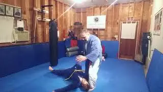Shuri-te Jujitsu self defenses