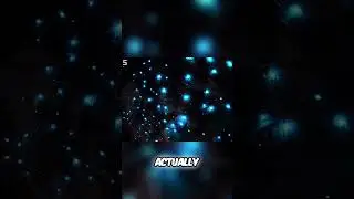Exploring the Incredible Glow Worm Chamber Adventure