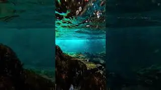 SDG14 life below water#viralvideo #youtubeshorts #nature