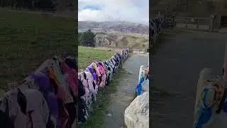Cardrona Bra Fence