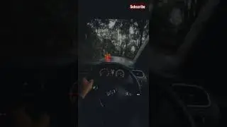 Volkswagen Polo Driving in forests||mood on driving||#shorts#polo#mood#forest
