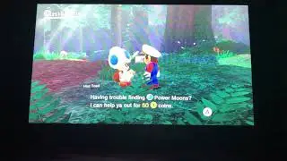 Super Mario Odyssey - Hint Toad (Blue Toad)