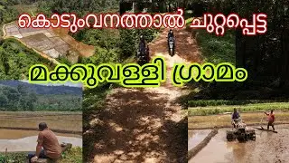 Exploring Makkuvally Villege in Idukki Forest/ വനത്തിനുള്ളിലെ മക്കുവള്ളി എന്ന മനോഹരമായ ഗ്രാമം