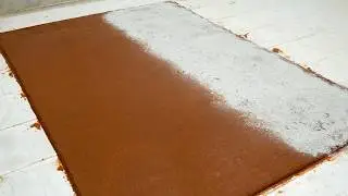 So Much Mud Came Out of This Carpet&hellip; It Didn&rsquo;t Seem Real | Satisfying Video, Carpet Cleaning ASMR
