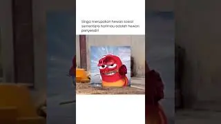 singa manja #meme