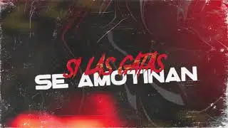 SI LA GATA SE AMOTINAN EN LA DISCO - @EsElPeipper @papudoblep @LOCURAMIX  - Agus Jara RMX