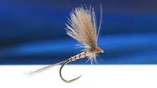 Why This CDC Dun Fly Stays Perfect After Casts &ndash; Czech Technique Inside!