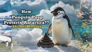 Penguin Poop Power: How Antarctica's Tiny Turds Support a Thriving Ecosystem | let's learn science