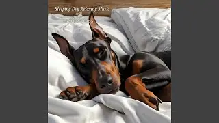 Sweet Dreams for Dog 0.5 Hz