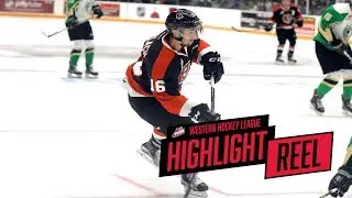 2017-18 HIGHLIGHT REEL | Max Gerlach