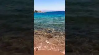 Red sea Amazing Road trip to Haqal beach jordan border #beach #saudiarabia #jordan