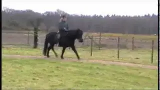 N&aacute;ttrun.wmv