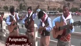 Los Cordilleranos del Sur