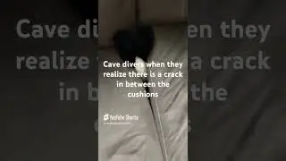 Cave divers #trend #viralvideo #trending #puppy @Level Up Legend #cute #cutedog #cavedivers