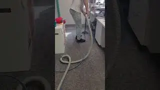 Cleaning in Action! 💪 See How the Pros Do It