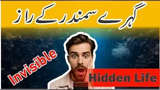 Invisible Cities Beneath the Ocean Deep | Hidden Life, Deep Sea Secrets, Earth&rsquo;s Future