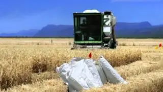 Test first, then time Nitrogen fertiliser to reduce losses - Roger Armstrong