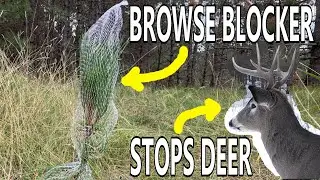 Best Way to Keep Deer from Eating Trees