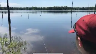Camping, Hiking, and Fishing at Purtis Creek State Park in East Texas