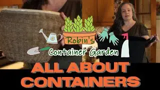 Containers: Everything You Need To Know