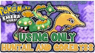 Can You BEAT Pok&eacute;mon Emerald With ONLY A HUNTAIL AND GOREBYSS?! (NO ITEMS IN BATTLE)