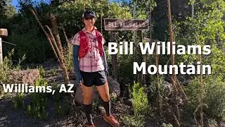 Bill Williams Mountain Williams, Arizona