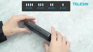 TELESIN Endurance Charger w/ Stamina Batteries for GoPro Hero 12, 11, 10, 9 Cameras S0-ECB-01-TGP
