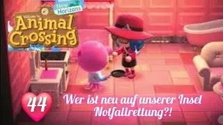 Marianne ist da und die Notfallrettung!? Animal Crossing New Horizons