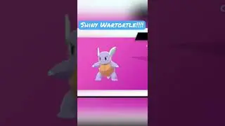 Shiny Wartortle in Pok&eacute;mon Sword!!!! #Shorts