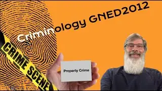 Criminology by Prof Miller - Property Crime