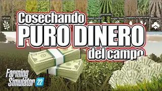 TOP 5 📈 Cosechas MÁS RENTABLES en FARMING SIMULATOR 22 🚜