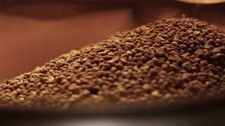 Coffee Beans Roasting (ASMR)