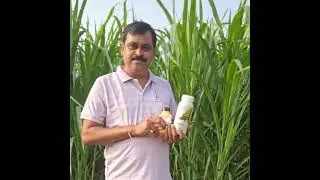 PROSHAKTI DEMO...( PROVEDA INDIA)