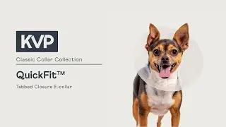 KONG&reg; QuickFit&trade; | KVP Classic E-Collar Collection
