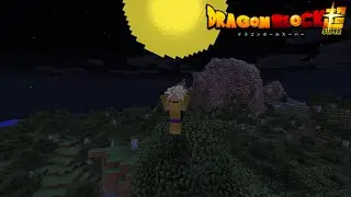 WiDIoR - Dragon Craft Super