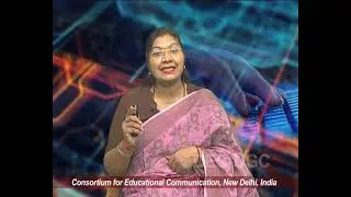 Optical Resonators - II