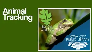 Animal Tracking with Bur Oak Land Trust