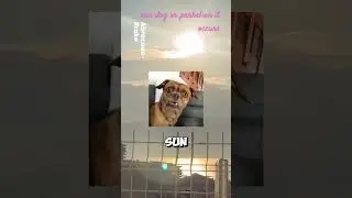 #memes #googleearth #googlemaps #sundisappeared