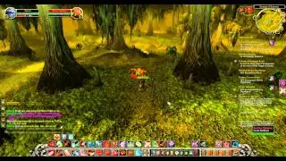 Wow - Warrior 925 Million Crit Damage