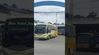 Klakson Basuri Bus Bone Indah Jaya #buskalimantan