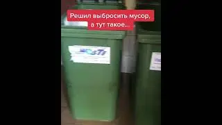 #bulkin #булкин #shorts
