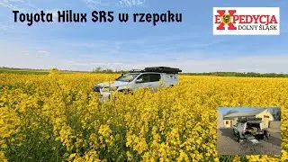 Overlanding in Bloom – Toyota Hilux SR5 Among Rapeseed Fields