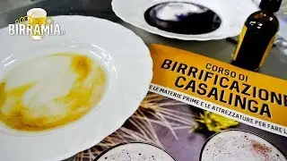 Birramia Moments: Corso Di Birrificazione 11/11/2018