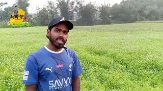 কালোজিরে চাষাবাদ। কালোজিরা চাষ করে লাভবান হতে পারে কৃষক ও মৌ খামারি উভয়ই  #farming #চাষী_ভাই #কৃষক