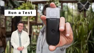 How to Run a Cannabis Potency Test with Tetrasense